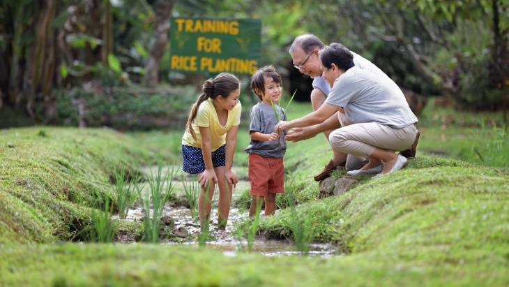 A family discovering plants in the outdoors