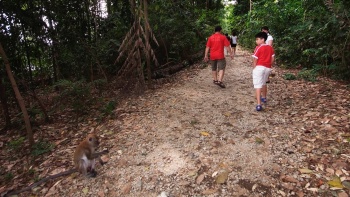 Family strolling in MacRitchie Reservoir Trail Singapore