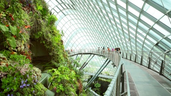 Interior Cloud Forest Dome nan cantik memiliki lebih dari 32.000 tumbuhan dan 160 spesies.