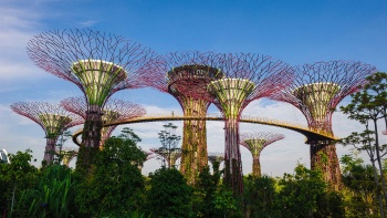 Pemandangan Supertrees dari Gardens by the Bay Singapore