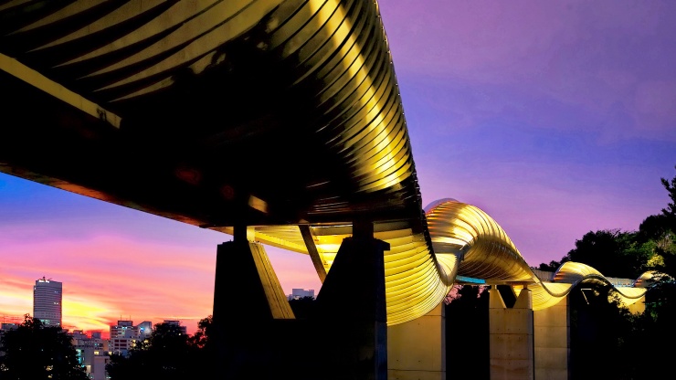 Colours of the sunset reflecting on Henderson Waves Bridge giving it a beautiful golden sparkle