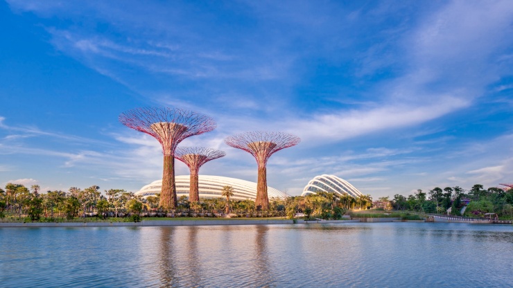 Wide shot of Supertree Grove with Flower Dome in background