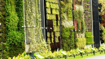 Shot of green wall panels at HortPark