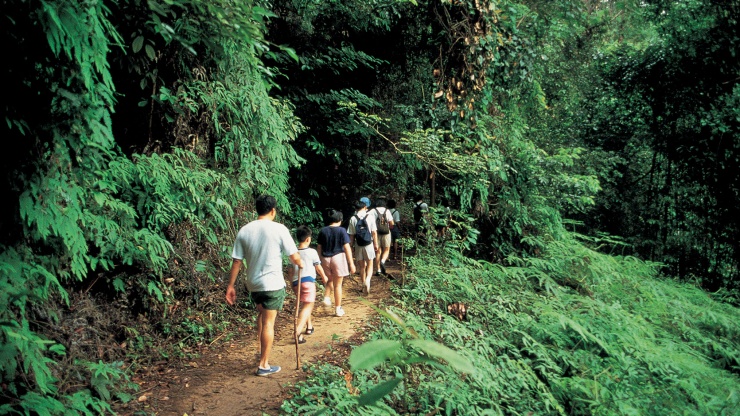 一家人徒步探索武吉知马天然保护区