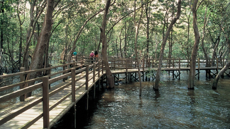 双溪布洛湿地保留区木板道的广角镜头