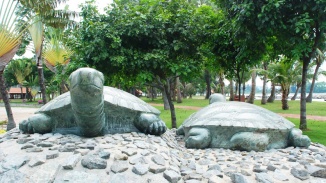 Close up shot of two tortoise stone statues