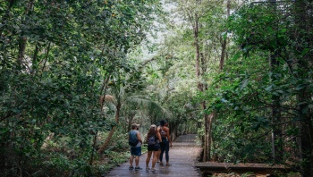 Hình ảnh những người đi bộ đường dài ở Chek Jawa Wetlands tại Pulau Ubin